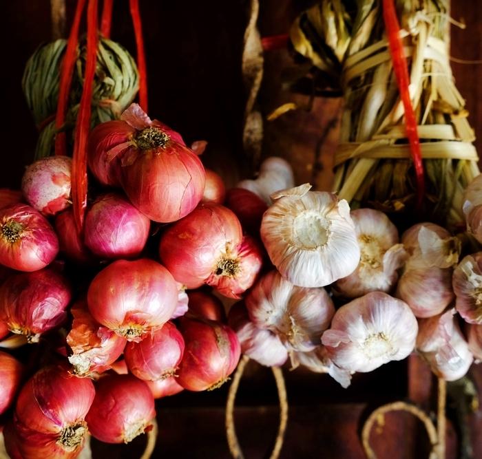 Onion and Garlic: Cancer’s Natural Nemeses
