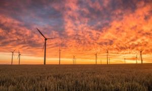 Biden Administration Misleads Public on the Vast Expanses of Land Needed for ‘Net Zero’