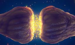 'Gut Instinct' Cause for Numerous Sensory Symptoms in Long COVID, Doctors Offer Comprehensive Treatment