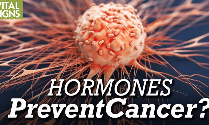 Can Hormone Therapy Prevent Breast Cancer and Boost Women’s (and Men’s) Health?