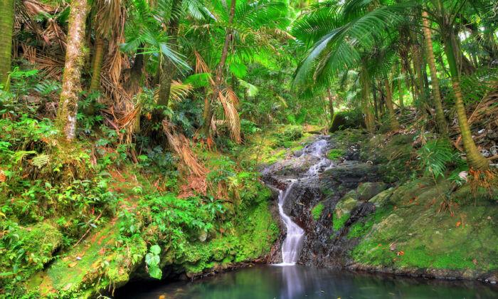 The Best Places in the Caribbean for Nature Lovers