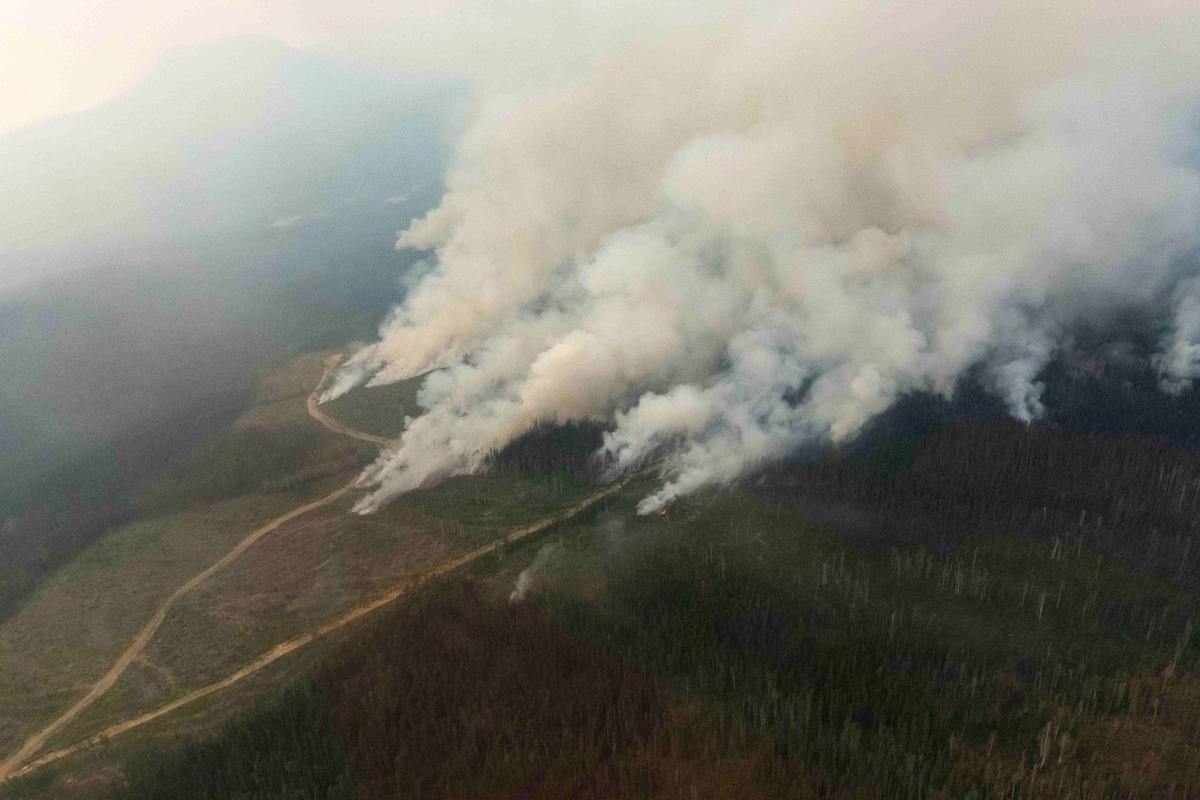 Gusty Winds Complicate BC Wildfire Fight, but Human-Caused Blazes Also a Factor