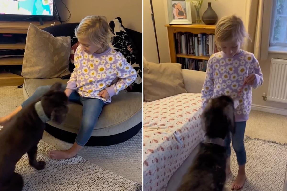 Harper feeds treats to her elderly dogs, Theo and Dylan. (Screenshot/Newsflare)