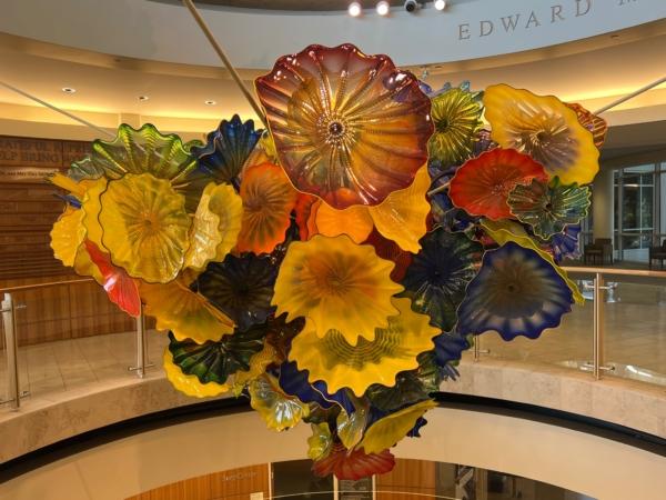 A Chihuly glass chandelier, called “Joyous,” hangs at the Palo Alto Medical Foundation in Mountain View, California. (Courtesy of Karen Gough)
