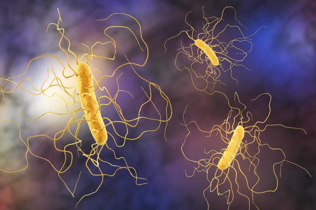 Deadly Hospital Infection May Have Surprising Origin