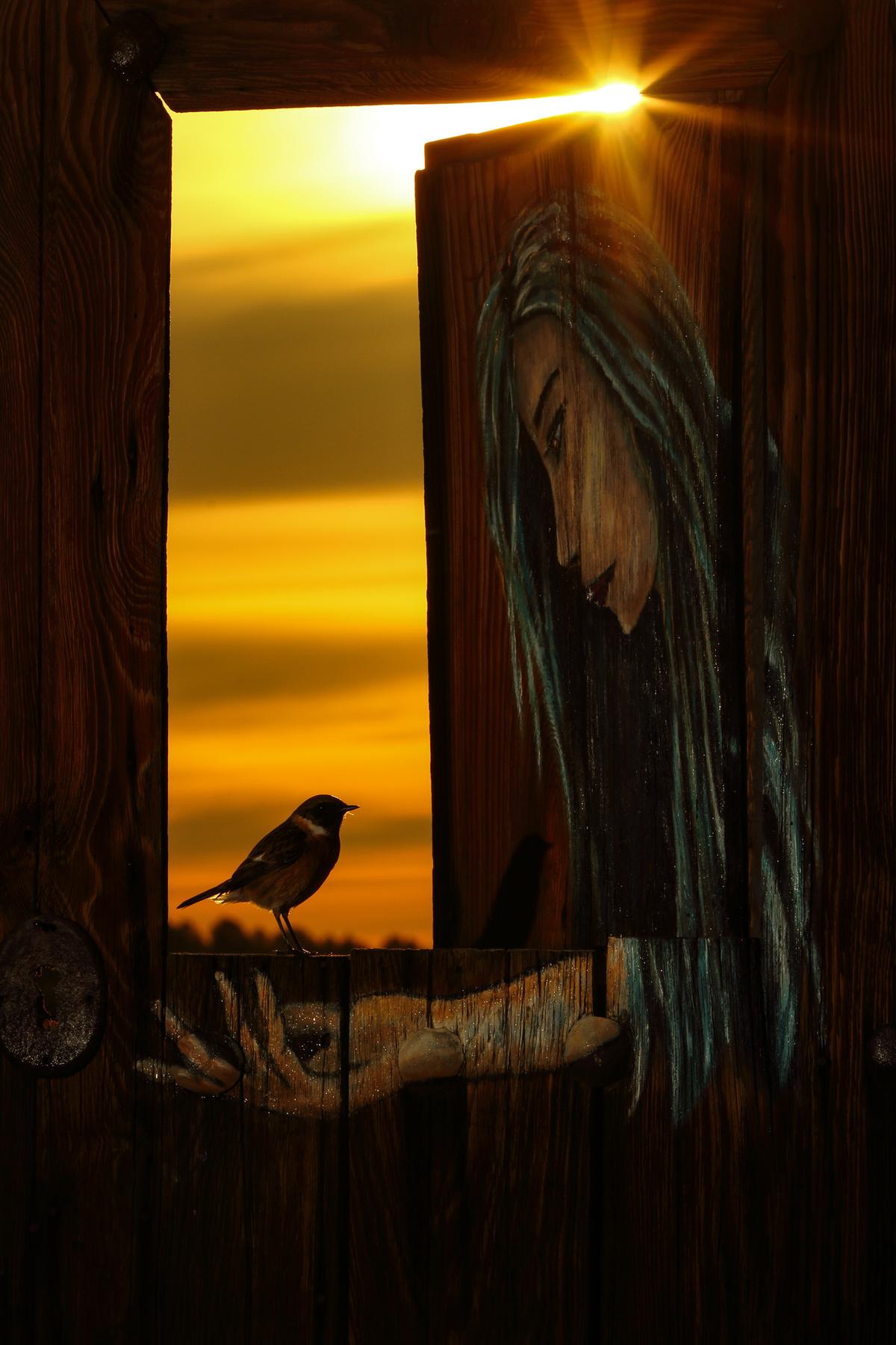'Dawn at the Door of the Farmhouse' by Julian Fernandez Quilez. (©Julian Fernandez Quilez/Bird Photographer of the Year)