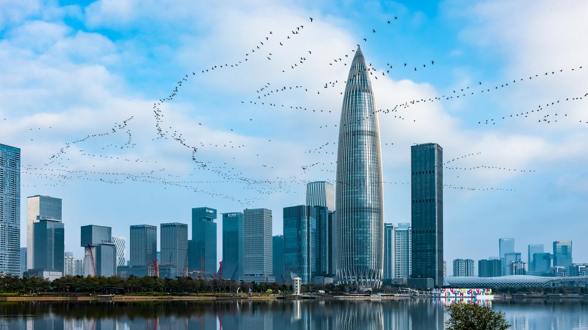 "Urban Paradise" by Xiaoke Wang (©Xiaoke Wang/Bird Photographer of the Year)
