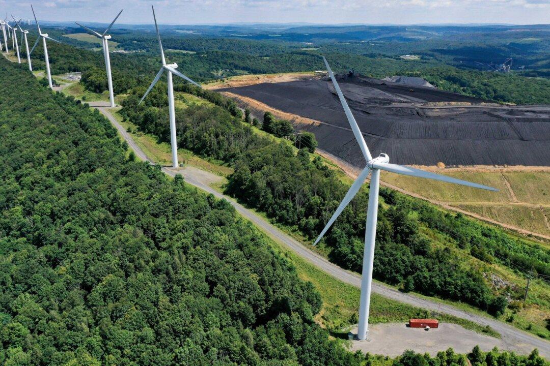 New Zealand’s Net Zero Target Set for a ‘Great Reset?’