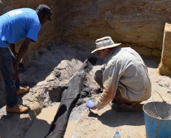  Researchers uncover a wooden structure dating to at least 476,000 years ago near Kalambo Falls in Zambia that represents the oldest-known use of wood in construction on Aug. 6, 2019. (Geoff Duller/Aberystwyth University/Handout via Reuters)