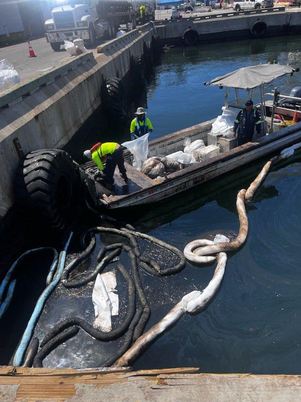 Officials clean the oil spill from SeaPort Manatee's seawall on Sept. 4, 2023. (Courtesy of United States Coast Guard)