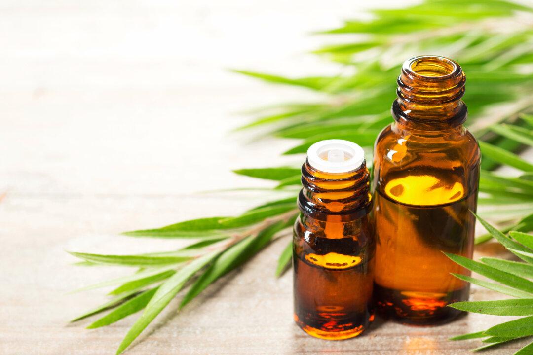 Tea Tree Oil Shows Promise in Treating Acne, Eczema, and Psoriasis