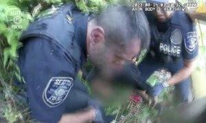 Bodycam Footage: Seattle Police Officers Swarmed by Wasps During Arrest
