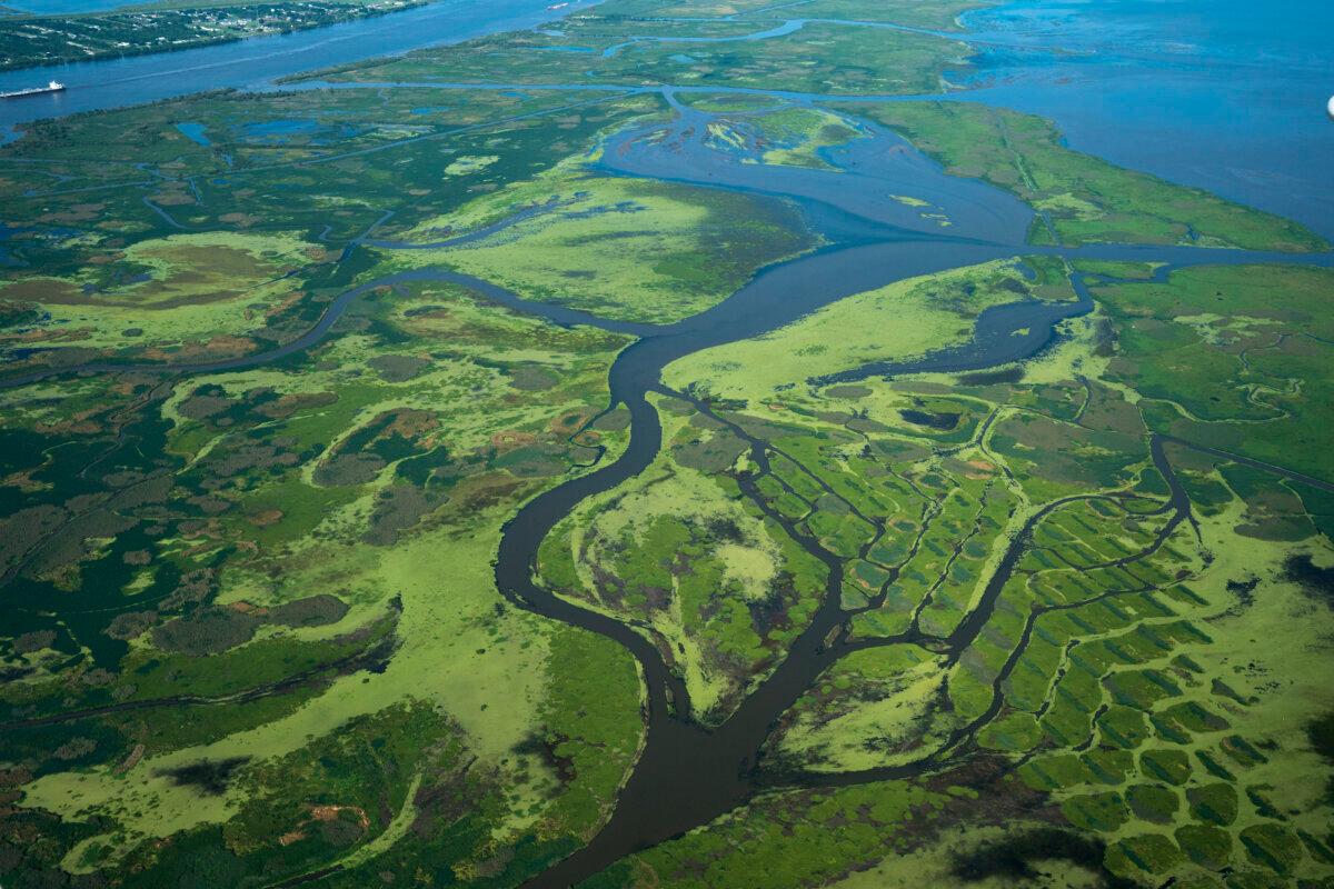 A view of the Mississippi River to the left and the Gulf of Mexico to the right, in Buras, La., on Aug. 22, 2019. (Drew Angerer/Getty Images)