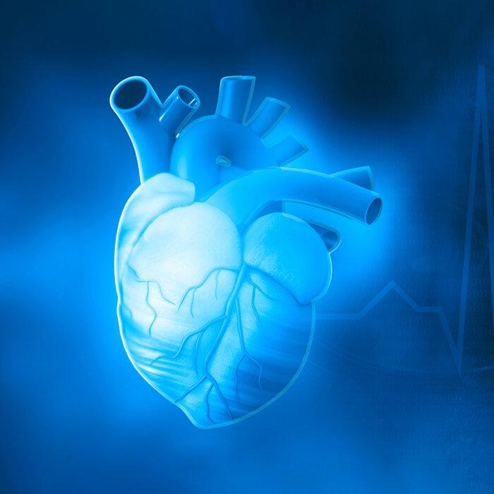 Study Links Constipation to Increased Heart Attack and Stroke Risk