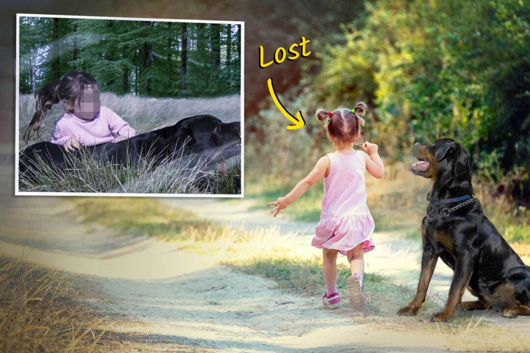 Michigan Toddler Wanders Into the Woods at Night, Is Found Asleep Using Family Dog as a Pillow