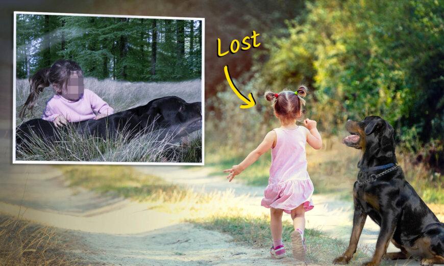 Michigan Toddler Wanders Into the Woods at Night, Is Found Asleep Using Family Dog as a Pillow