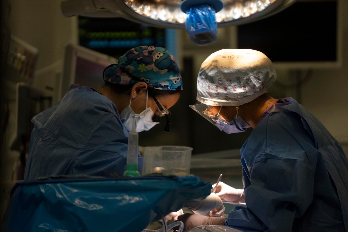 Government-Funded Surgeries in Quebec Increasingly Performed by Private Clinics: Study