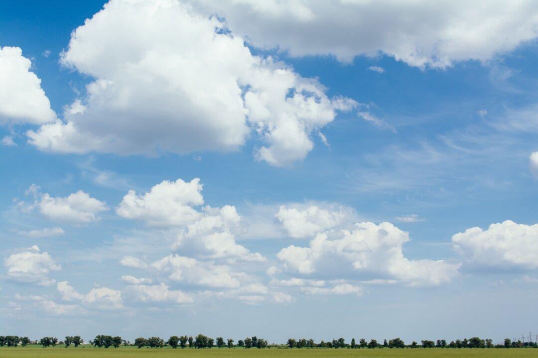 Here’s the Climate Dissent You’re Not Hearing About Because It’s Muffled by Society’s Top Institutions