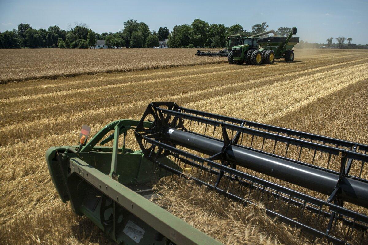 Combines, harvesters and a tractor-drawn grain cart are seen on a field harvesting barley on June 17, 2014, in Milford, Del. (Brendan Smialowski/AFP via Getty Images)