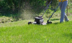 When’s the Best Time for Lawn Care? Right Now