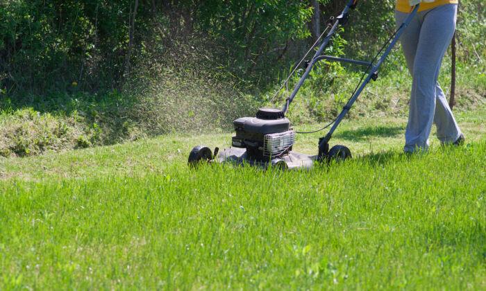 When's the Best Time for Lawn Care? Right Now