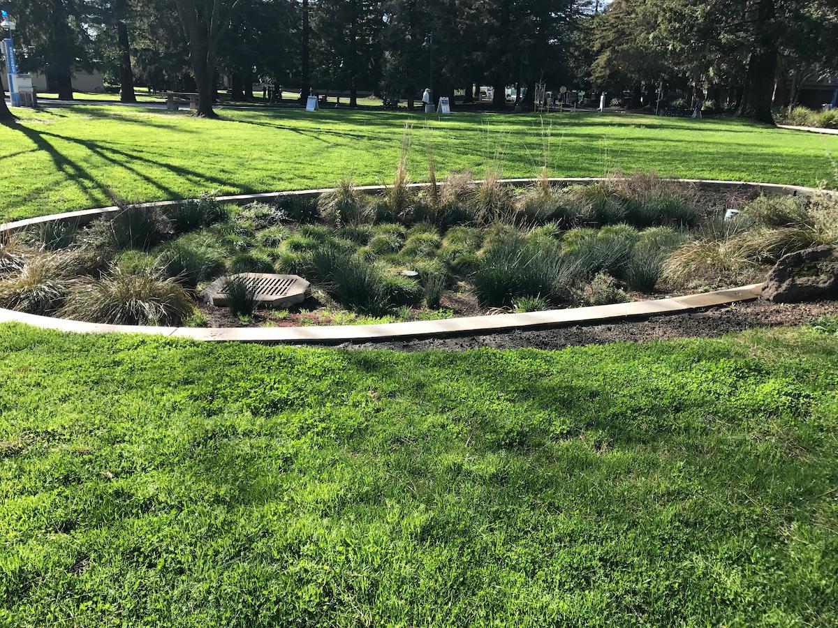 Building a Rain Garden