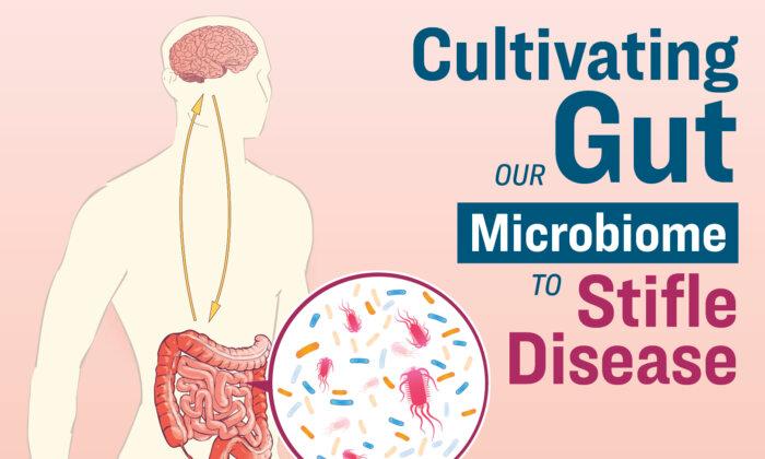 Cultivating Our Gut Microbiome to Stifle Disease