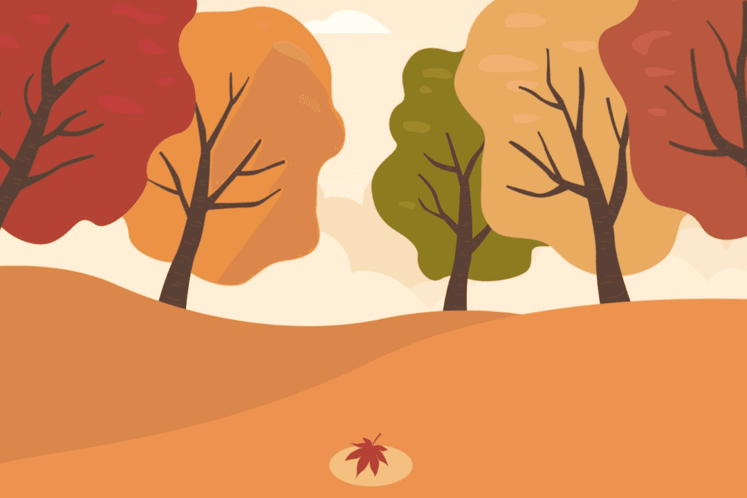 Fall Is the Season of Letting Go