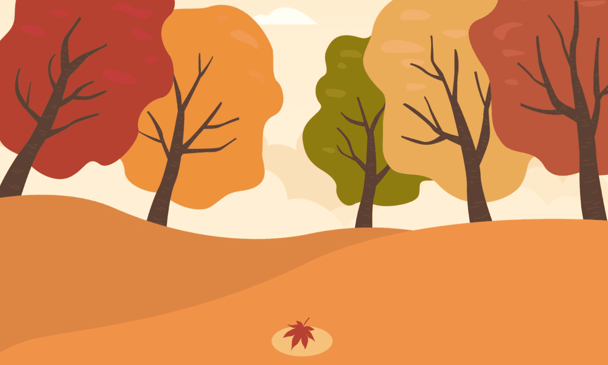 Fall Is the Season of Letting Go