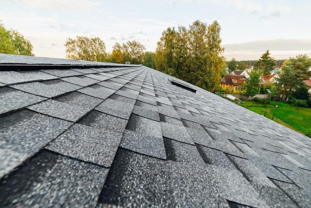 Fall is the perfect time to repair any damaged shingles and waterproof your roof. (nikkytok/Shutterstock)