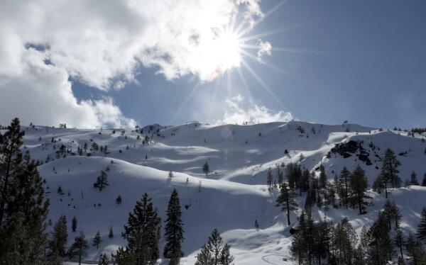 Snow blankets a hill in Meyers, Calif., on March 20, 2023. (Justin Sullivan/Getty Images)
