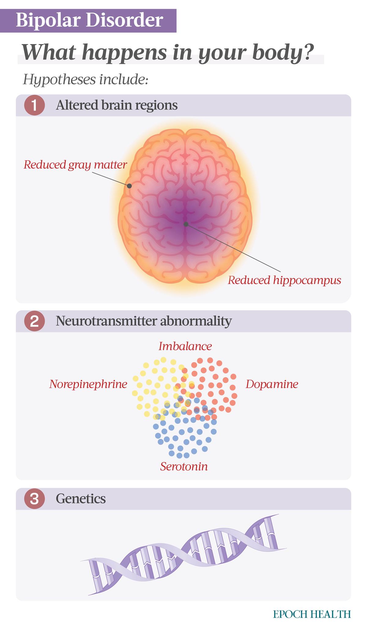 Although the exact cause of bipolar disorder is unknown, experts believe it may result from an imbalance of brain chemicals, physical abnormalities in the brain, genetics, or environmental factors. A combination of factors may also be the cause. (Illustrations from Shutterstock/Designed by The Epoch Times)
