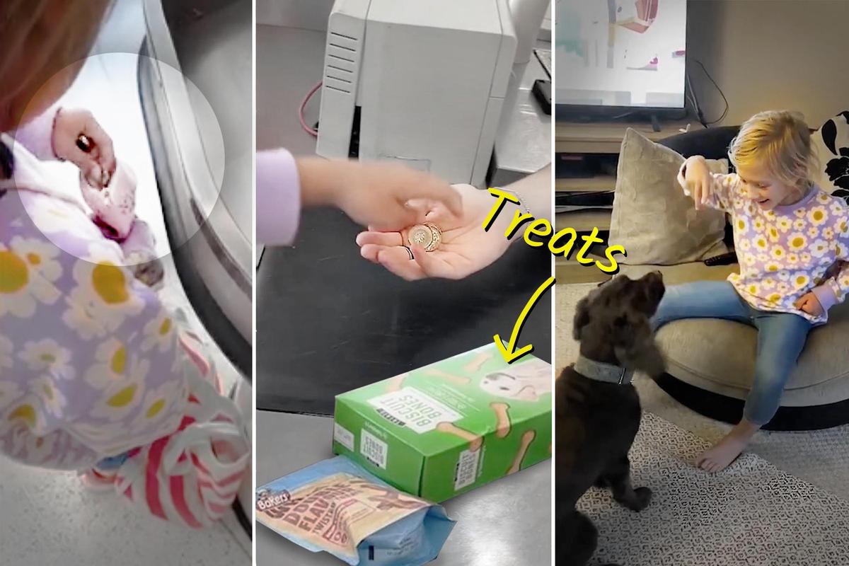 6-Year-Old Shops for First Time With Own Money—Selflessly Only Buys Treats for Her 2 Elderly Dogs