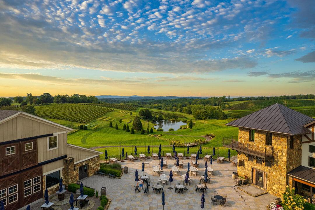 Virginia Is for Lovers ... of Wine and Autumn Leaves