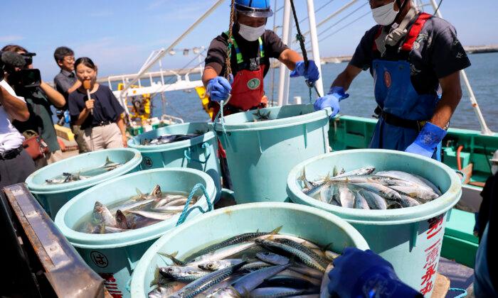 Chinese Fishing Boats Catch Seafood off Japan as Beijing Bans Japanese Imports