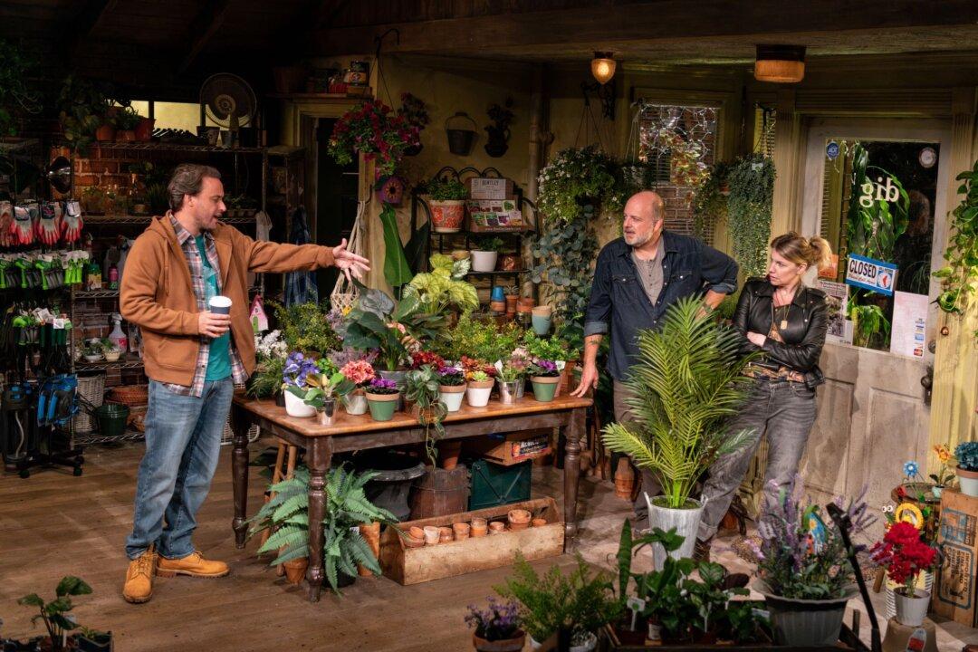 ‘Dig’: About Blame, Forgiveness, and Potted Plants