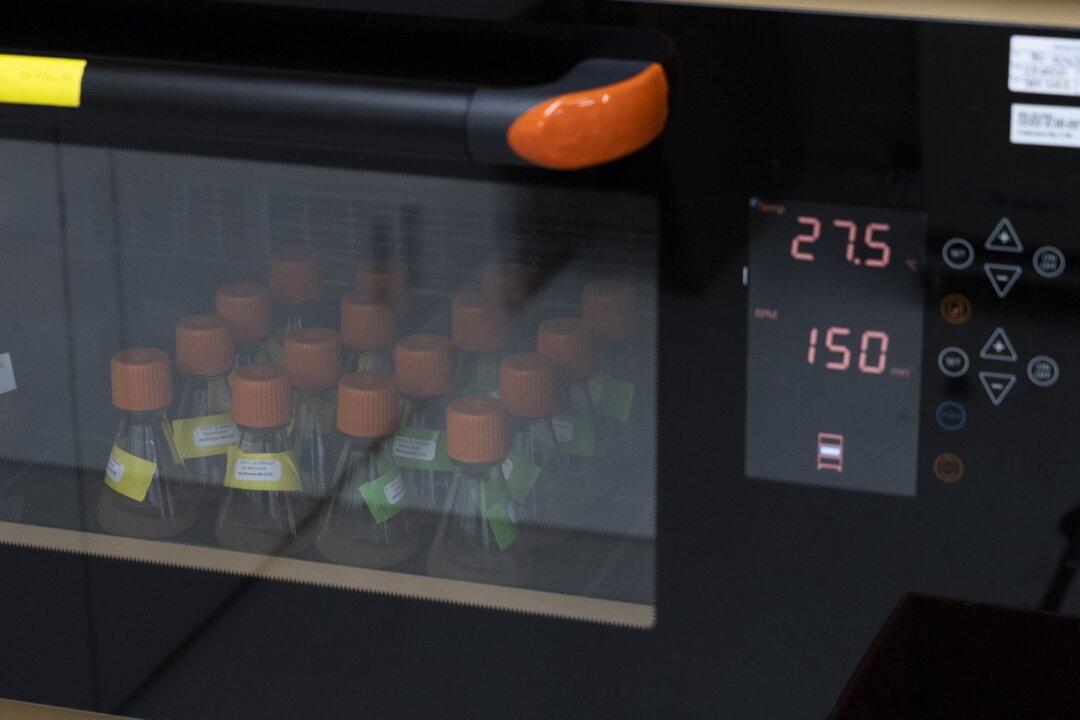 Novavax Touts Non-mRNA COVID-19 Vaccine, Hopeful to Meet Domestic Production Deadline