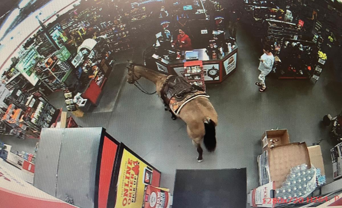 Footage of Matt Perella with his horse, Buck, in the Tractor Supply store in Sumter, N.C., on Sept. 28, 2023. (Courtesy of Tractor Supply)
