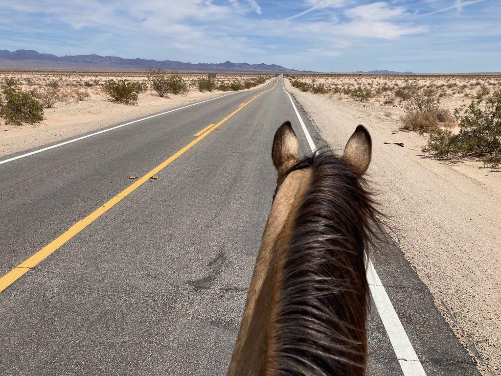 Matt Perella heads down an unknown U.S. highway on his horse, Buck. (Courtesy of Matt Perella)