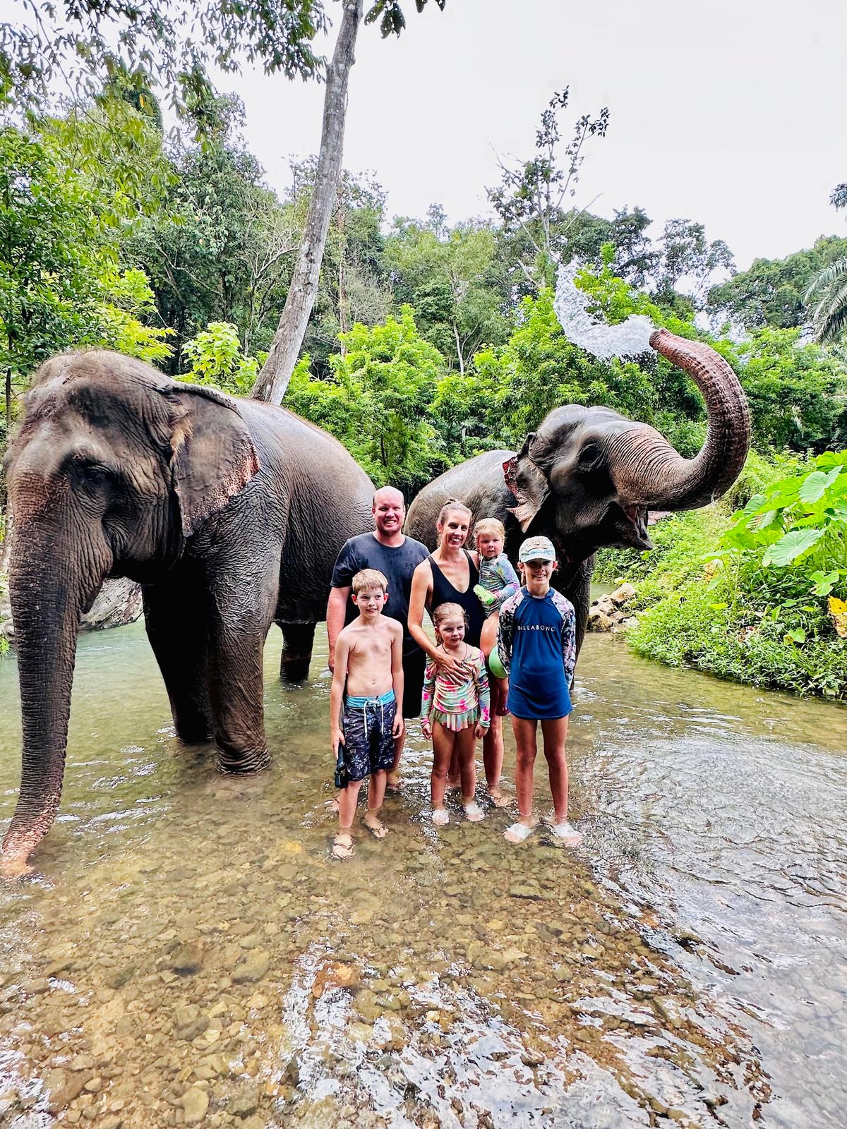 The Krabi Elephant Care House, Thailand. (SWNS)