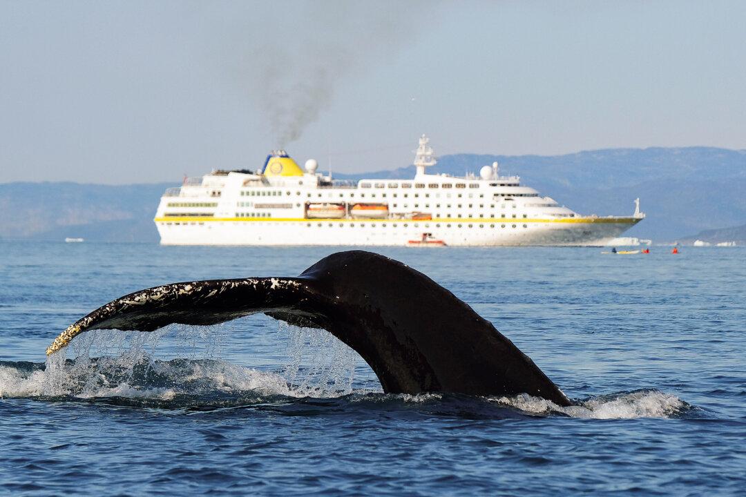 Illegal Immigration Is Battering Maine’s Cruise Ship Industry: Senator