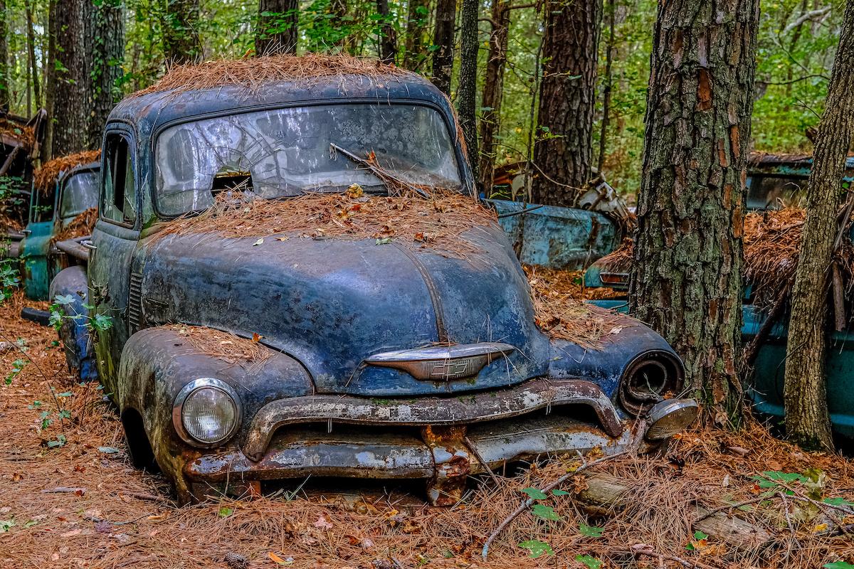 An old Chevy truck sits in the woods, on display at Old Car City, Georgia (Darryl Brooks/Shutterstock)