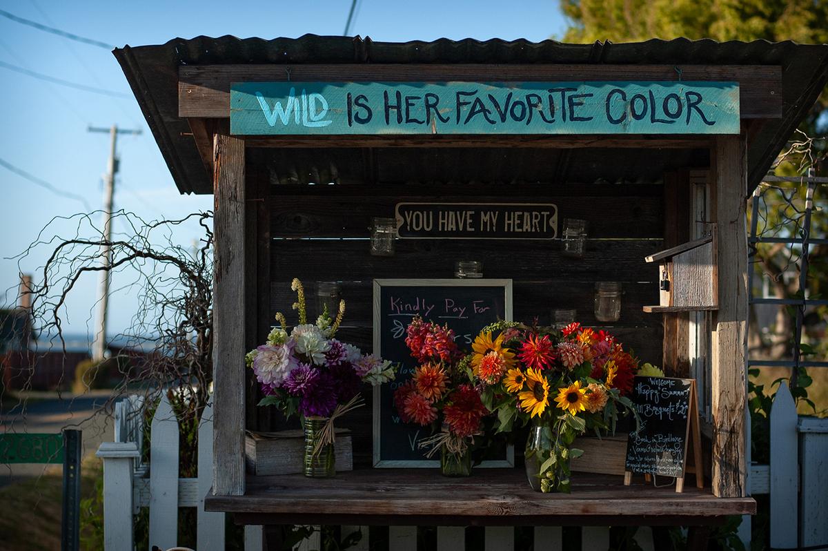 A resident of Sequim, Washington sells their bouquets from their home garden. (Jennifer Schneider)