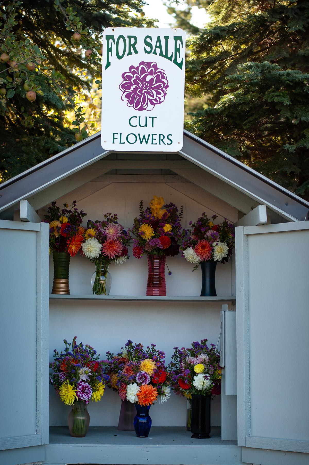 Flower bouquets for sale on a private property in Carlsborg, Washington. (Jennifer Schneider)