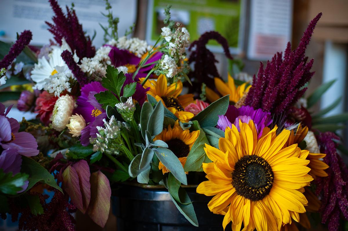 Flower bouquets sold at Chi's farmstand in Sequim, Washington. (Jennifer Schneider)