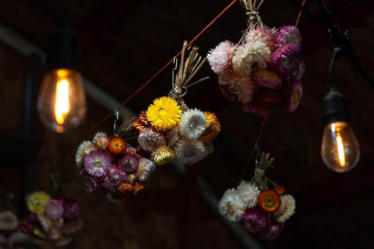 Strawflowers dry out from the farmstand ceiling at Chi's Farm. (Jennifer Schneider)