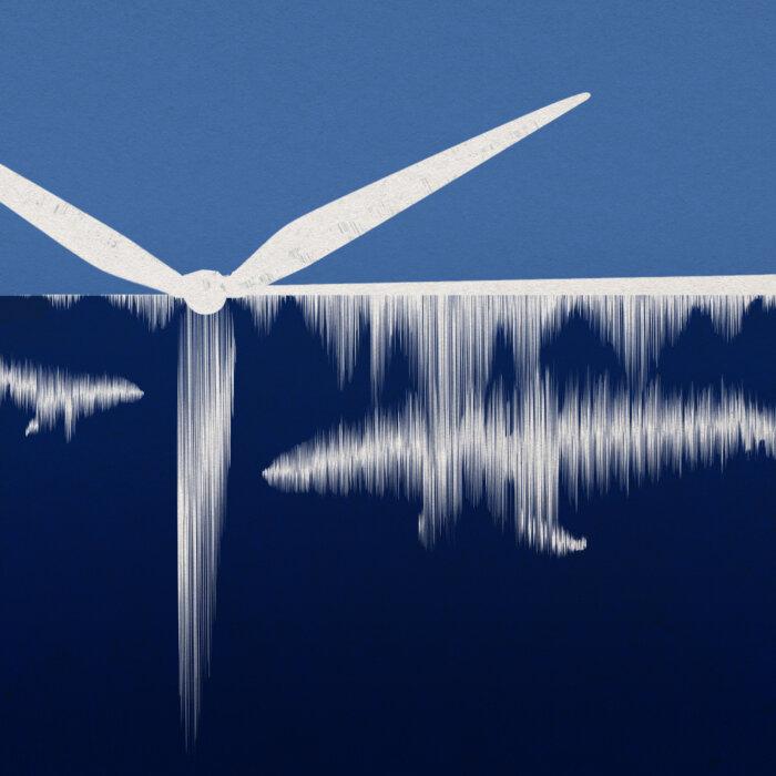 Are Wind Turbines Killing These 100,000 Pound Mammals?