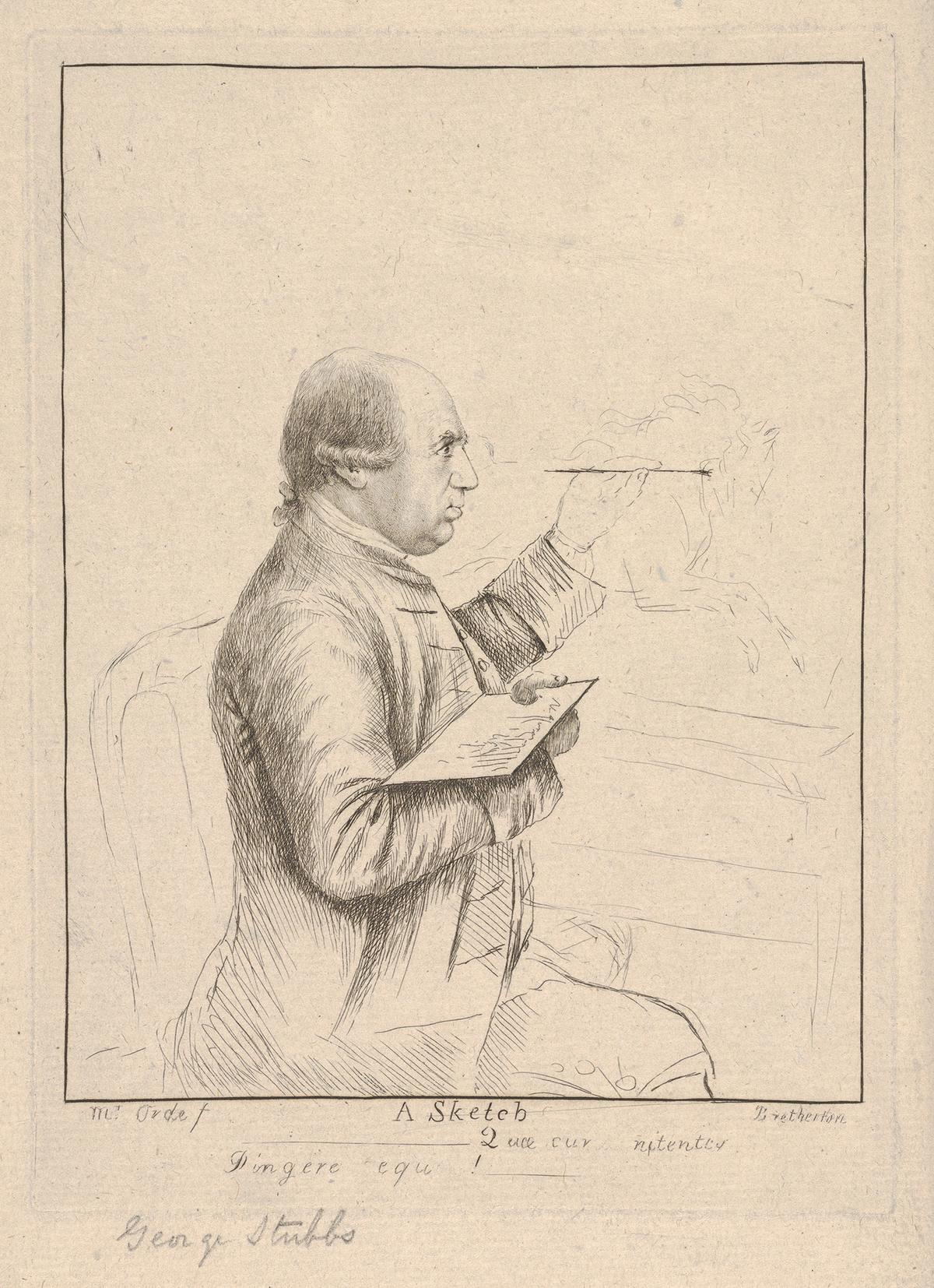  "A Sketch (Portrait of George Stubbs)," second half of the 18th century, by James Bretherton. Etching. The Metropolitan Museum of Art, New York. (Public Domain)