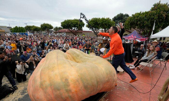 Pumpkin Weighing 2,749 Pounds Wins California Contest, Sets World Record for Biggest Gourd