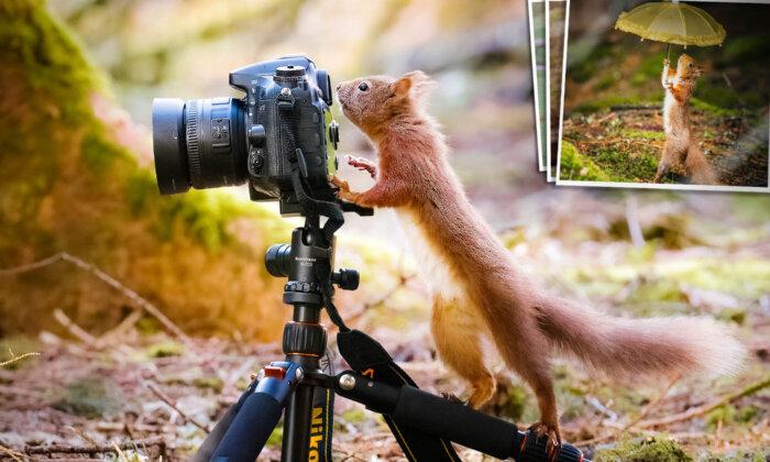 Photographer Captures Moment Adorable Red Squirrels ‘Use a Camera’—And Other Cute Objects